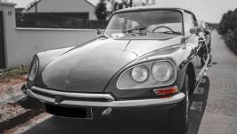 Mahefasoa PINEAU - LAED Compagnie